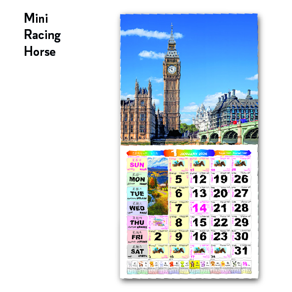 Mini Racing Horse